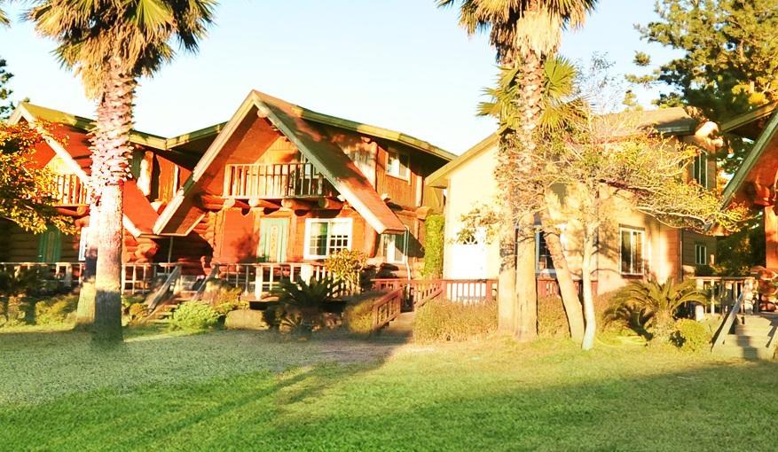 Jeju Log Village Pension Seogwipo Exterior photo